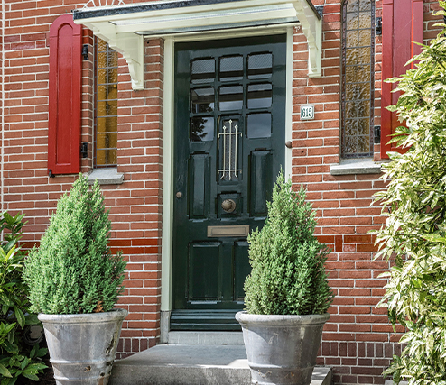 groene deur met planten ernaast